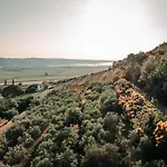 Private Olive Glamping With Tiny House And Two Tents