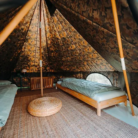 キャンプ場 Private Olive Glamping With Tiny House And Two Tents