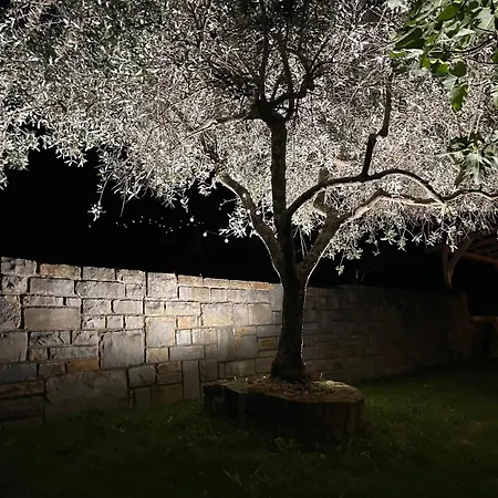 Private Olive Glamping With Tiny House And Two Tents * Sečovlje