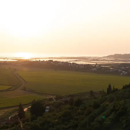Campeggio Private Olive Glamping With Tiny House And Two Tents