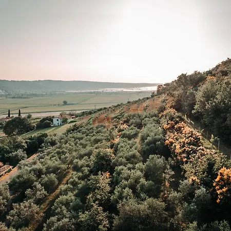 Private Olive Glamping With Tiny House And Two Tents