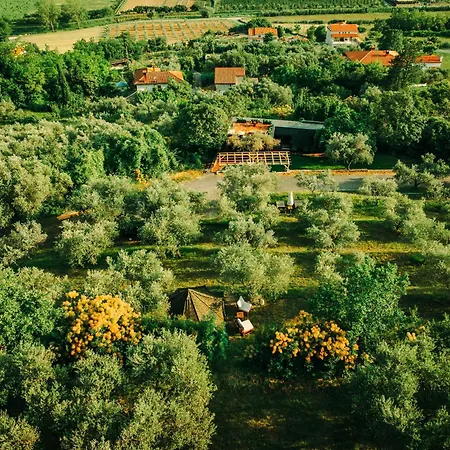 Private Olive Glamping With Tiny House And Two Tents * Secovlje