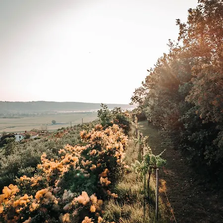 Private Olive Glamping With Tiny House And Two Tents Sečovlje