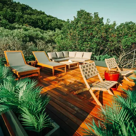 キャンプ場 Private Olive Glamping With Tiny House And Two Tents *