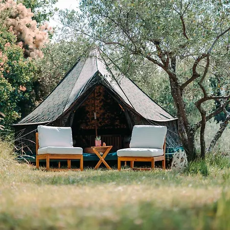 Private Olive Glamping With Tiny House And Two Tents Camping