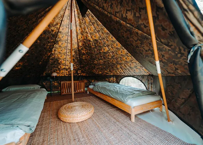 Campsite Private Olive Glamping With Tiny House And Two Tents