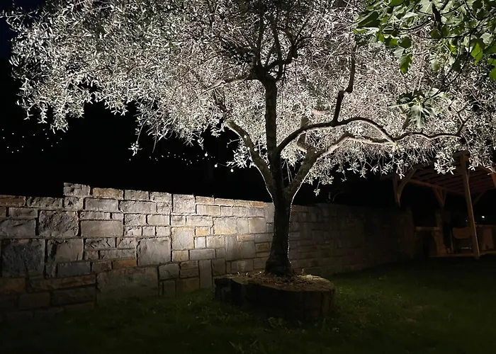 Private Olive Glamping With Tiny House And Two Tents * Sečovlje