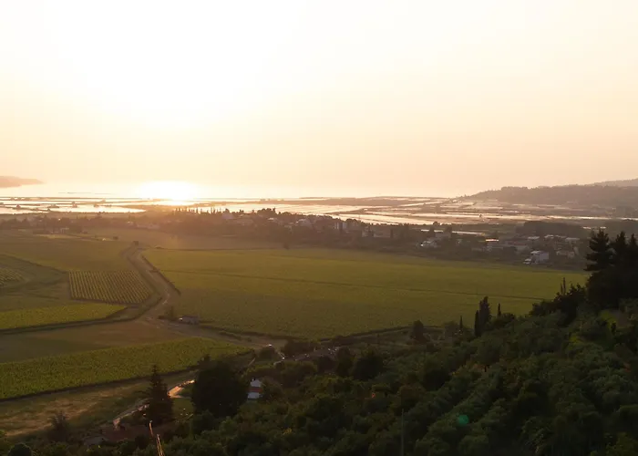 Campingplads Private Olive Glamping With Tiny House And Two Tents