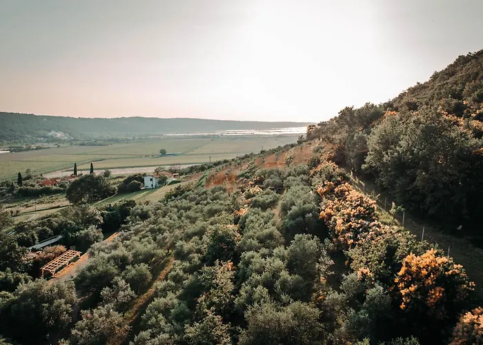 Private Olive Glamping With Tiny House And Two Tents