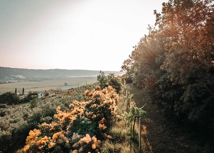 Private Olive Glamping With Tiny House And Two Tents Sečovlje